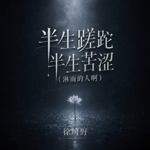 半生蹉跎半生苦涩(淋雨的人啊)