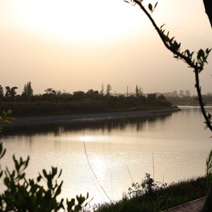 你的来信