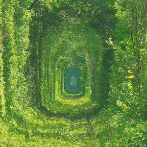 all I wanna tell y∅u