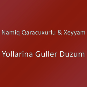 Yollarina Guller Duzum