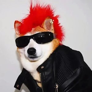 阳光脉冲_1756806489152