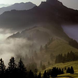 可是我可是我可是我把车卖了