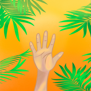 Palms