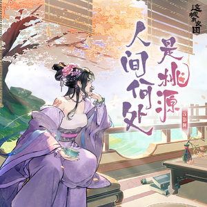 人间何处是桃源（DJ沈念版）