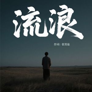 流浪-张贺迪