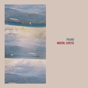 Vorrei essere una foresta