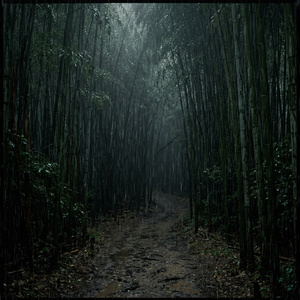 Bamboo Path