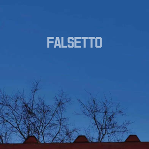 美丽谎言（cover都智文）（翻自 都智文）