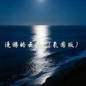 漫游的云朵
