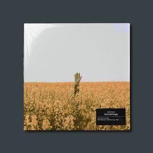 脑子瓦特 Lost Mind EMO Melodic x Nick Mira Type Beat