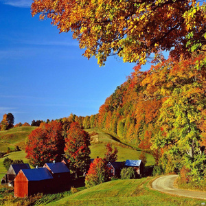 好きだからしょうがない