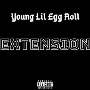 Extension
