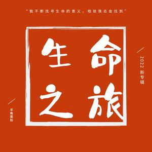 人生的旋转木马