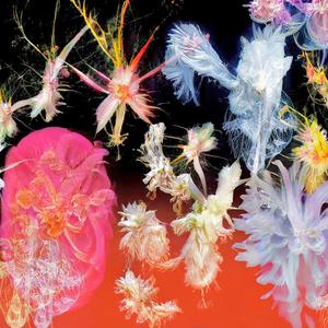 all of the world so natural