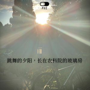 跳舞的夕阳，长在农科院的玻璃房