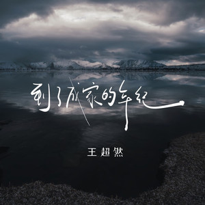 到了成家的年纪 (烟嗓版)