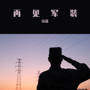 再见军装