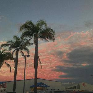 radio（翻自 刘宪华 (Henry)）