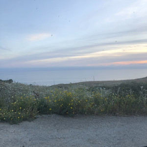 rehab(summer in ger)