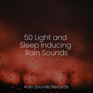 Cityscapes of Rust and Concrete