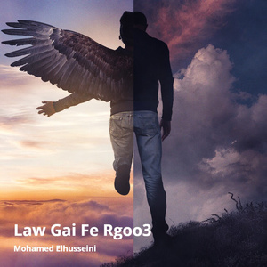 Law Gai Fe Rgoo3