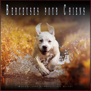 Musique Instrumentale pour Chiens