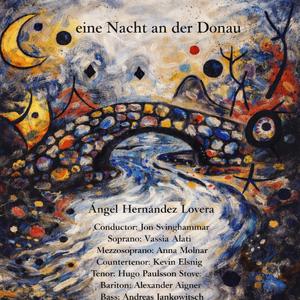 eine Nacht an der Donau