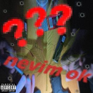 nevim ok (feat. 888 & $liva)