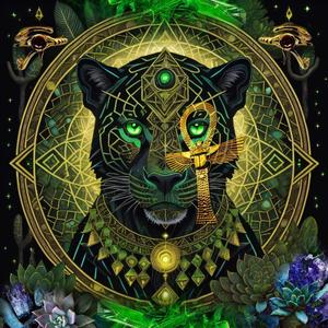 Frägments Öf Sociêty