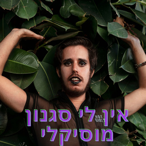 אין לי סגננון מוזיקלי