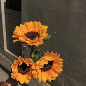 畅快诗（Prod by 金桔0RANG3）