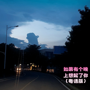 如果有个晚上想起了你 (粤语版)