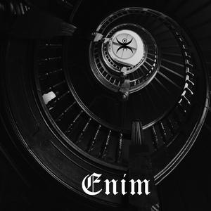 Enim