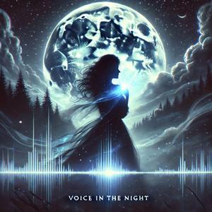 Voice in the Night