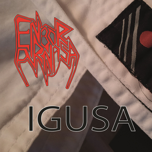 Igusa