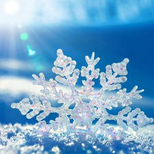 【萨克斯】【企鹅的小萨克】雪の華