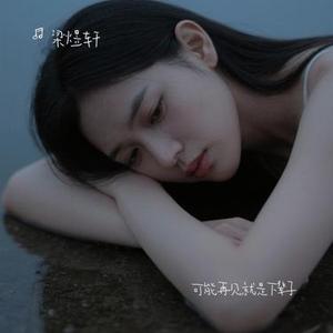 可能再见就是下辈子 (Cover 南风)