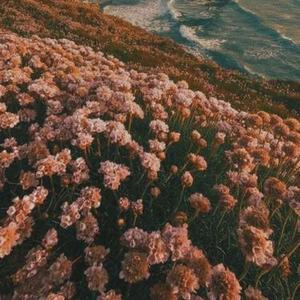 女人花 (Cover 梅艳芳)