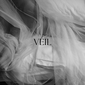 Veil