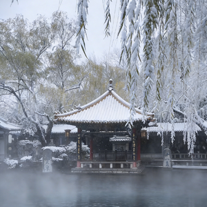 跟着红尘跟随我浪迹一生