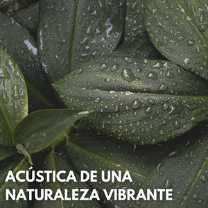Notas Aireadas