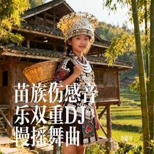 苗族伤感音乐双重DJ慢摇舞曲
