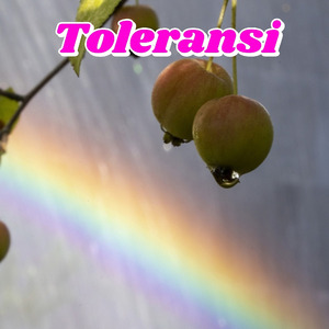 Toleransi