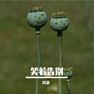 笑着告别
