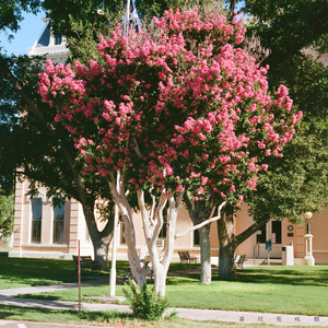 あの日の僕らへ
