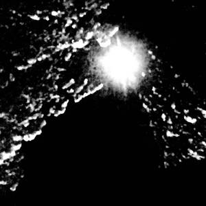 Sammuvan kaikkeuden alttarilla