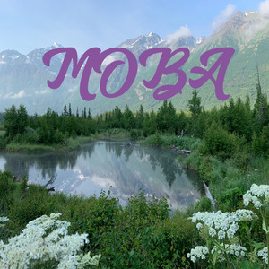 Release the Mob