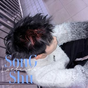 2025的十二月——松鼠