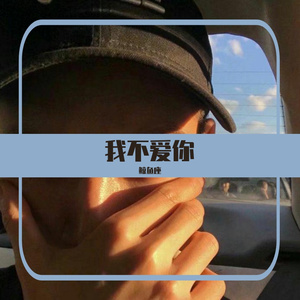 我不爱你