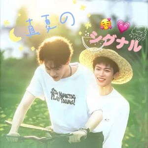 真夏のシグナル（雷朋夏日信号）